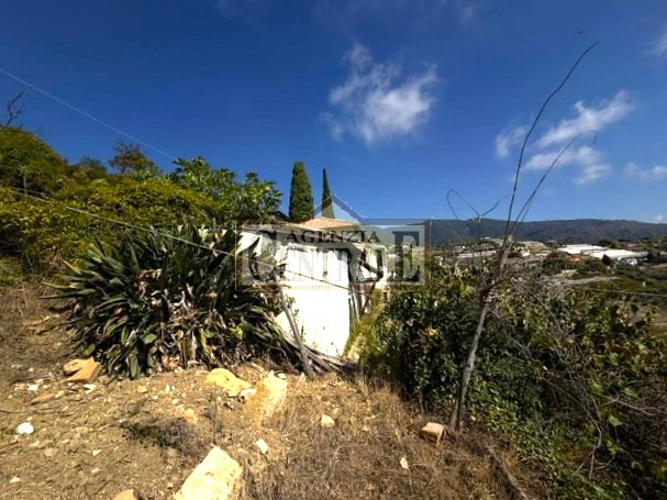 Agenzia Immobiliare Centrale Sanremo